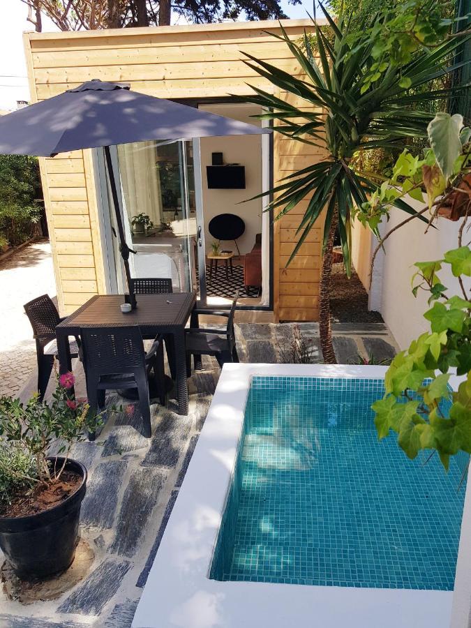 Apartment 205 Serenity
